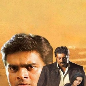 Aarya photo 3