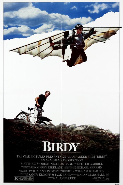 Birdy poster