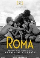 Roma poster image