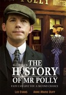 The History of Mr. Polly poster image