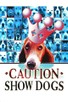 Poster for