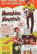 Moonshine Mountain poster image