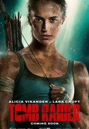 Tomb Raider poster image