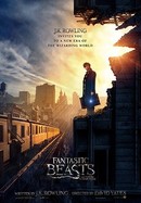 Fantastic Beasts and Where to Find Them poster image