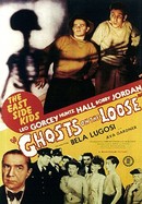 Ghosts on the Loose poster image