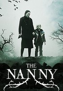 The Nanny poster image