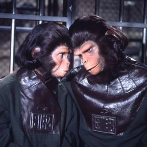 Escape From the Planet of the Apes (1971) photo 7