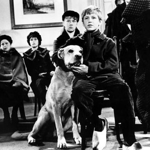 DOG OF FLANDERS, Patrasche (dog), David Ladd, 1959.TM and Copyright (c) 20th Century Fox Film Corp. All rights reserved.