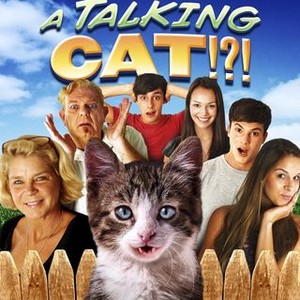 A Talking Cat? (2013) photo 7