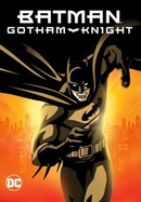 Batman: Gotham Knight poster image