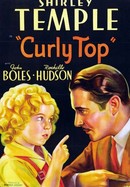 Curly Top poster image