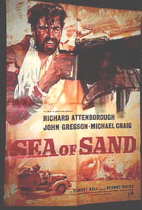 Sea of Sand (Desert Patrol)