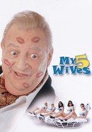 My 5 Wives poster image