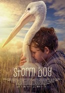 Storm Boy poster image