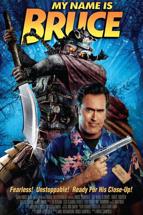 My Name Is Bruce poster