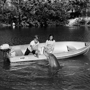 FLIPPER'S NEW ADVENTURE, Luke Halpin, Flipper, Pamela Franklin, 1964