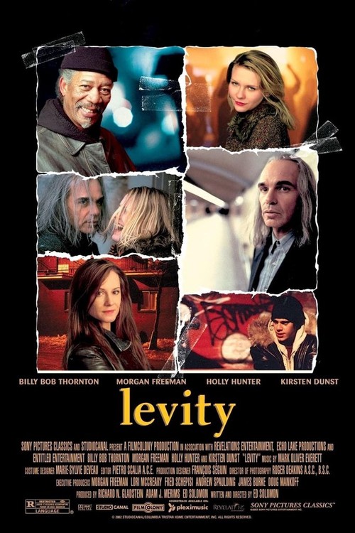 Levity poster