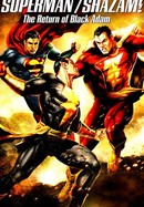 DC Showcase: Superman/Shazam! The Return of Black Adam poster image