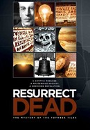 Resurrect Dead: The Mystery of the Toynbee Tiles poster image