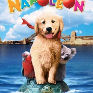 Napoleon photo 2