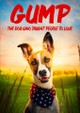 Gump: The Dog Who Taught People to Love