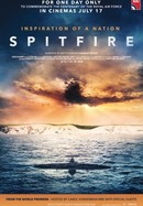 Spitfire poster image