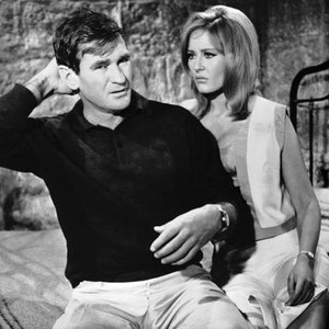 Rod Taylor - Rotten Tomatoes