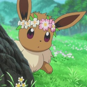 Pokémon the Series: XY Kalos Quest, Episode 1 - Rotten Tomatoes