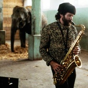 Moscow on the Hudson (1984) photo 15