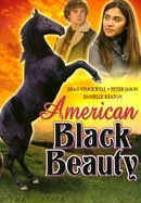 American Black Beauty poster image
