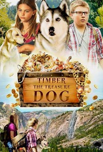 Timber the Treasure Dog