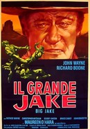 Big Jake poster image