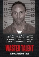 Wasted Talent poster image