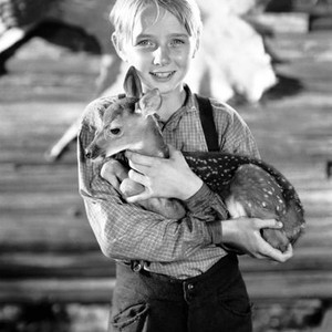 Claude Jarman Jr. - Rotten Tomatoes