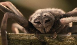 Charlotte's Web: Official Clip - Magnum Opus