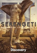 Serengeti poster image