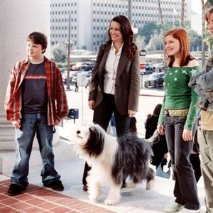 THE SHAGGY DOG, Spencer Breslin, Kristin Davis, Zena Grey, Shawn Pyfrom, 2006, (c) Buena Vista