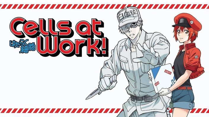 Cells at Work!｜CATCHPLAY+ Watch Full Movie & Episodes Online