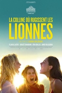The Hill Where the Lionesses Roar poster