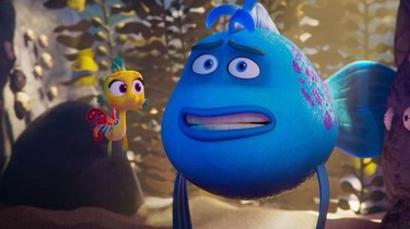 Finding Nemo Grumpy Fish