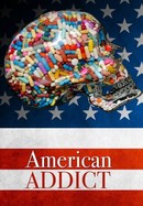 American Addict poster image