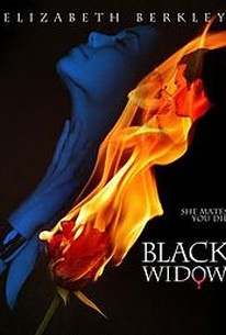 Black Widow (Dark Beauty)