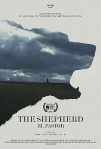 Watch trailer for The Shepherd