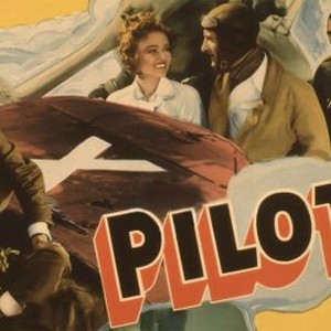 Pilot X photo 4
