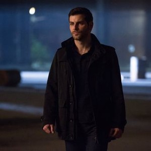 David Giuntoli - Rotten Tomatoes