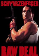 Raw Deal poster image