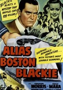 Alias Boston Blackie poster image