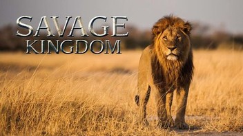 Savage kingdom season 1 episode 1 watch online free 2025