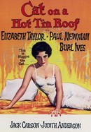 Cat on a Hot Tin Roof poster image