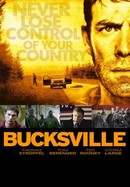 Bucksville poster image